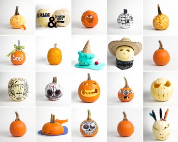 Read more about the article Motiv Design takes on the Pumpkin Patch