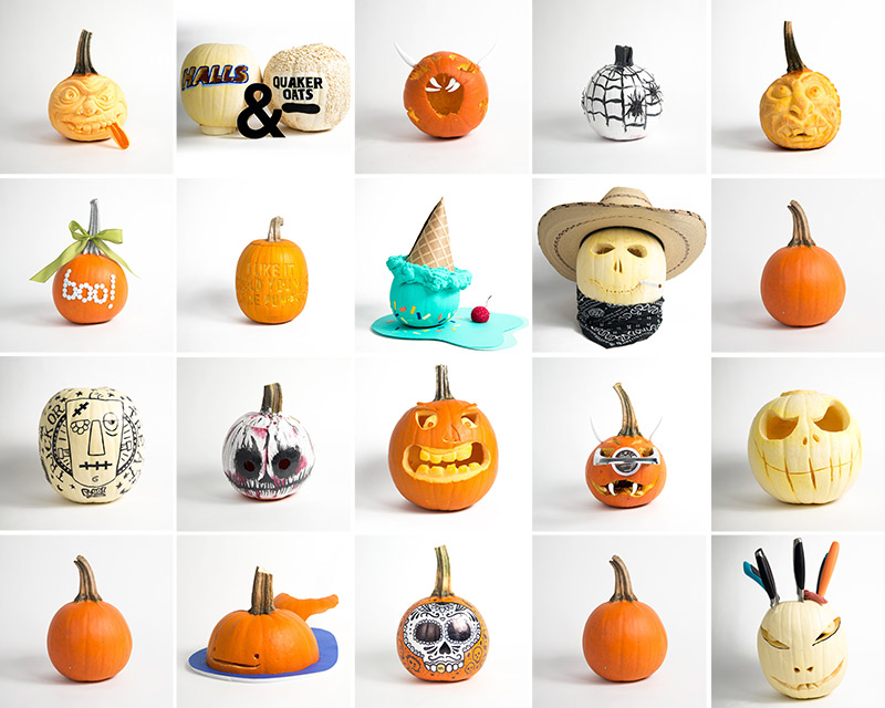 You are currently viewing Motiv Design takes on the Pumpkin Patch